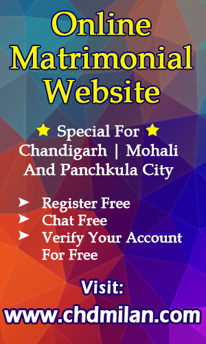 Online Matrimonial Website in India