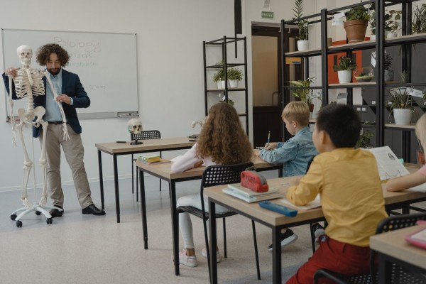 Education Category For White Label Guest Posts