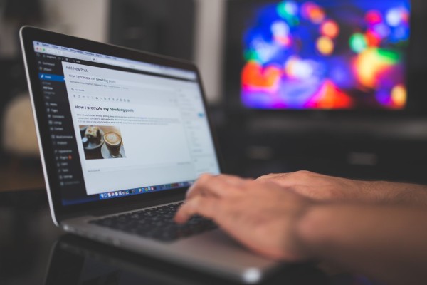 General Category For White Label Guest Posts