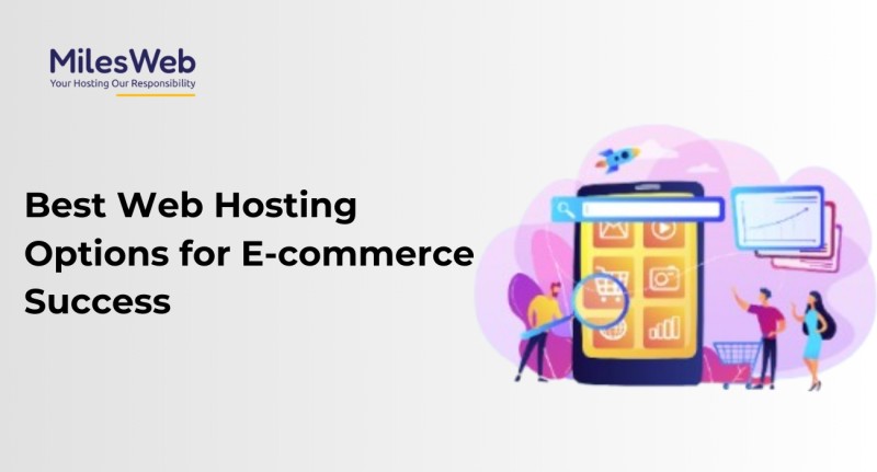 Best Web Hosting Options for E-commerce Success